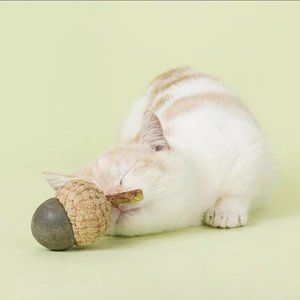 🎄Christmas gift for your cat - Nuts Catnip Toys